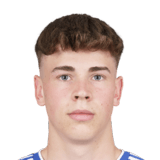 FC 24 Fabian Wilfinger Face