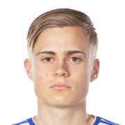Edvin Tellgren Face