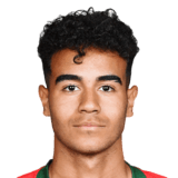 FC 24 Rafael Brito Face