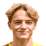 FC 24 Matte Smets Face
