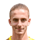 FC 24 Andrea Librici Face