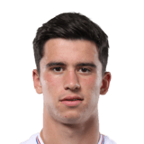FC 24 Dominik Prpic Face