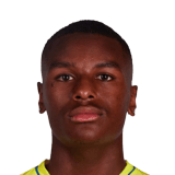 FC 24 Rafael Fernandes Face