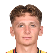 Mats Lemmens Face