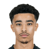 FC 24 Nassim Elouarti Face