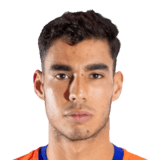FC 24 Gabriel Fermin Face