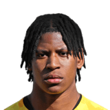 FC 24 Panashe Madanha Face