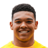 FC 24 Face