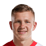 FC 24 David Pech Face