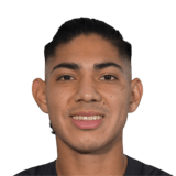 FC 24 Matias Verdun Face