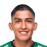 FC 24 Alejandro Ampuero Face