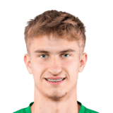 FC 24 Wiktor Kaminski Face