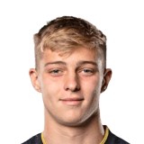 FC 24 Jesper Webber Face