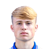 FC 24 David Watson Face