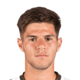 FC 24 Marco Pellegrino Face