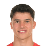 FC 24 Marco Worner Face