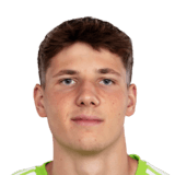 FC 24 Aleksander Bobek Face