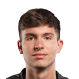 FC 24 Borna Buljan Face