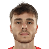 FC 24 Andrej Fabry Face