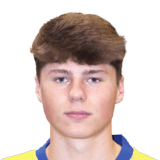 FC 24 Rein Van Helden Face