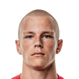 FC 24 Lucas Hogsberg Face