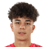 FC 24 David Irimia Face