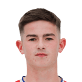 Max Woodcock Face