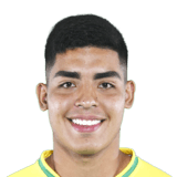 FC 24 Benjamin Schamine Face