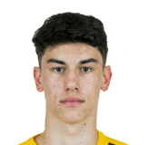FC 24 Noah Brdar Face