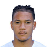 FC 24 Joel Schingtienne Face