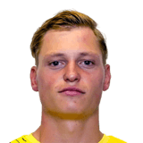 FC 24 Fabian Scherger Face