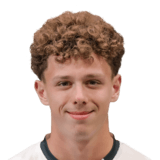 FC 24 Phoenix Scholtz Face