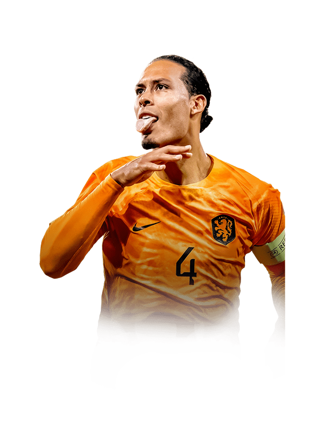 FC 24 van Dijk Face