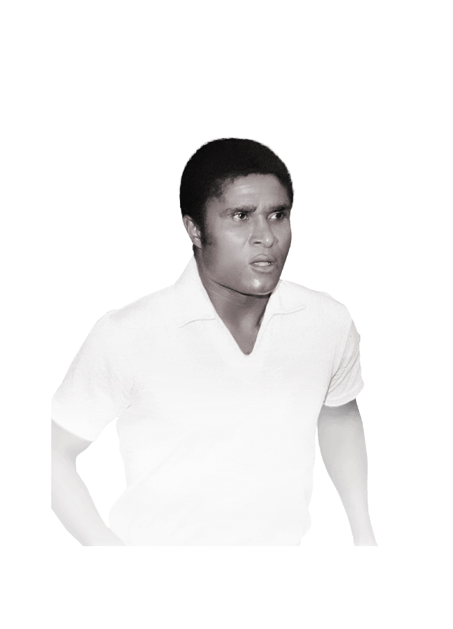 FC 25 Eusebio Face