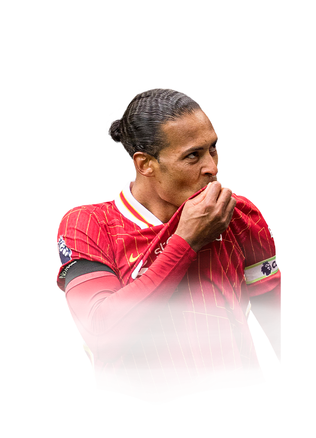 FC 25 van Dijk Face