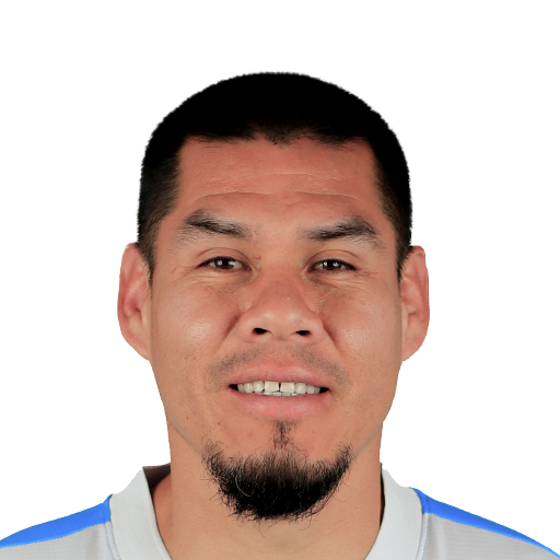 FC 25 Face