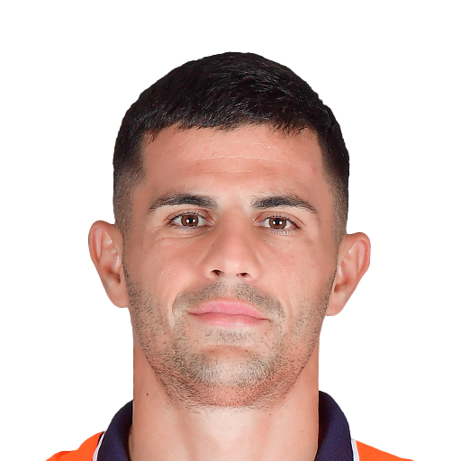 FC 25 Danijel Aleksic Face