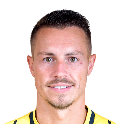 FC 25 Bodin Face