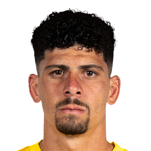 FC 25 Face