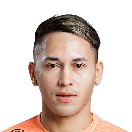 FC 25 Reis Face