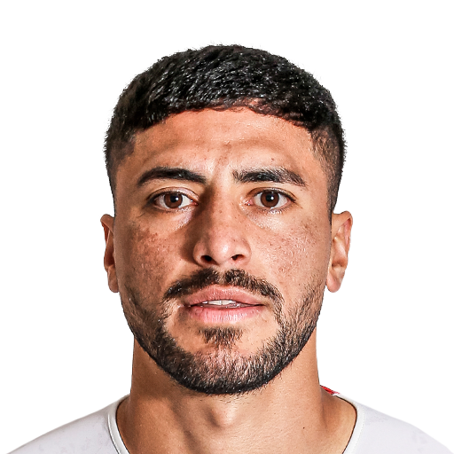 FC 25 Fernando Godoy Face