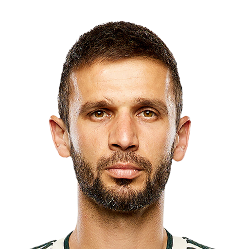 FC 25 Dario Zuparic Face