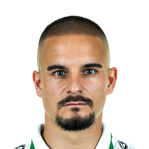 FC 25 Sebastian Mrowca Face