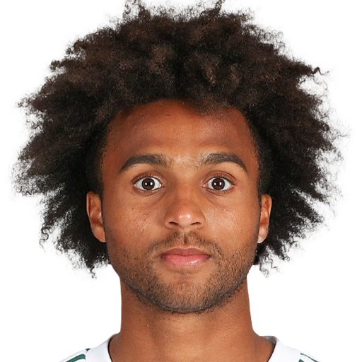 FC 25 Erik Palmer-Brown Face