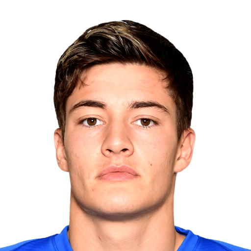 FC 25 Mathias Normann Face