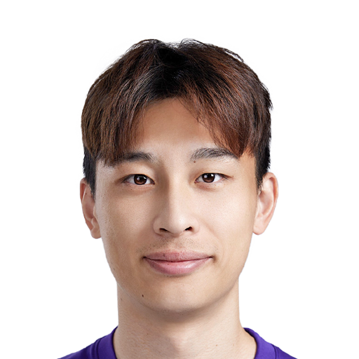 FC 25 Face