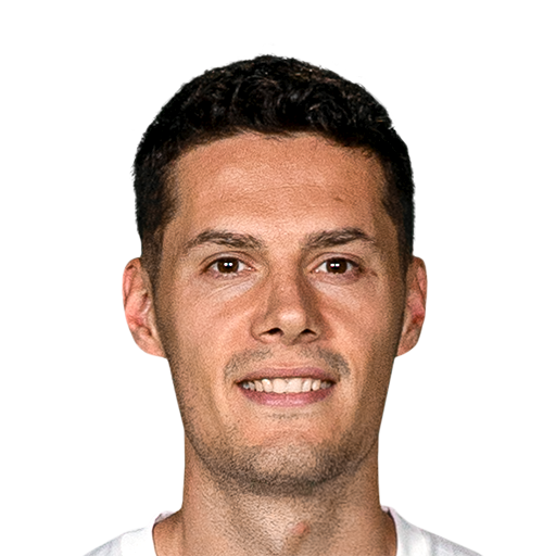 FC 25 Haris Hajradinovic Face