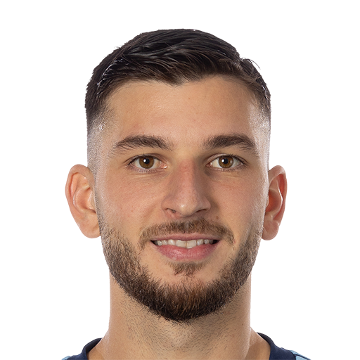 FC 25 Besard Sabovic Face