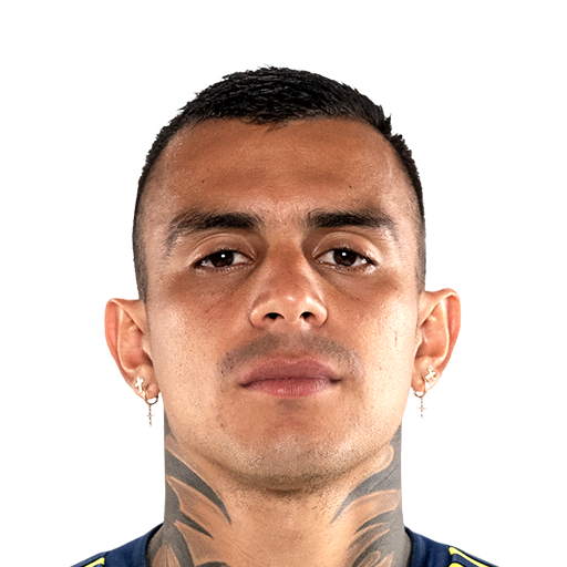 FC 25 Face