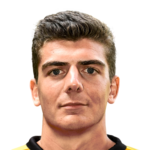 FC 25 Iebe Swers Face